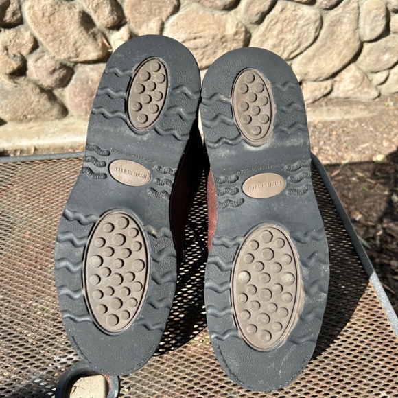 Irish Setter Wingshooter - Picture 7 of 7